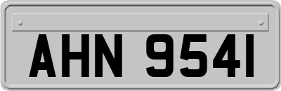 AHN9541