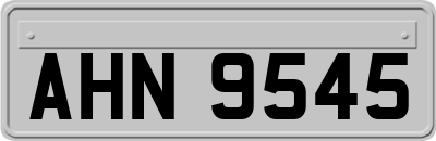 AHN9545