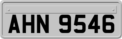 AHN9546