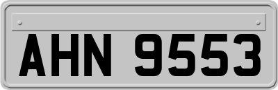 AHN9553