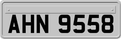 AHN9558
