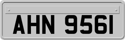 AHN9561