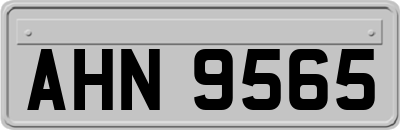 AHN9565