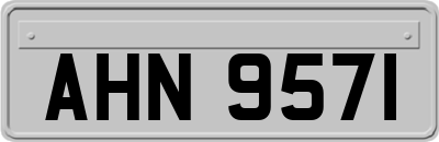 AHN9571