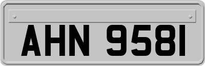 AHN9581
