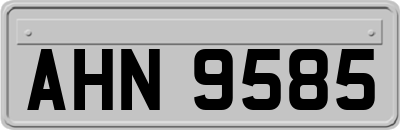AHN9585