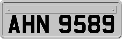 AHN9589