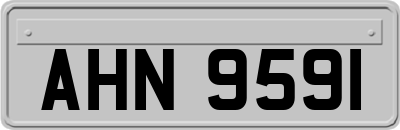 AHN9591