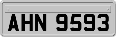 AHN9593