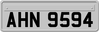 AHN9594