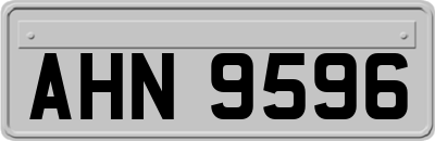AHN9596