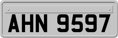 AHN9597