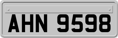 AHN9598