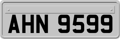 AHN9599