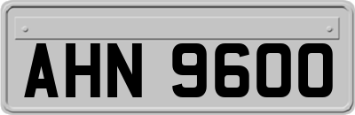 AHN9600