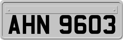 AHN9603