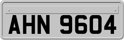 AHN9604