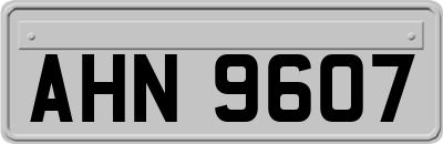 AHN9607