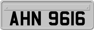 AHN9616