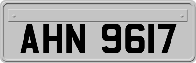 AHN9617