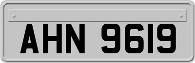 AHN9619