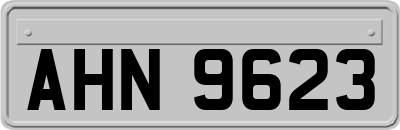 AHN9623