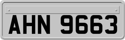 AHN9663