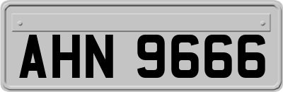 AHN9666