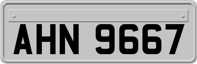 AHN9667
