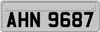 AHN9687