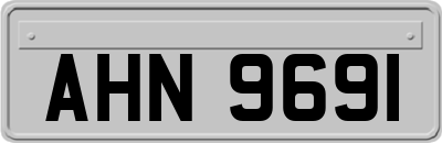 AHN9691