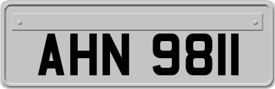 AHN9811
