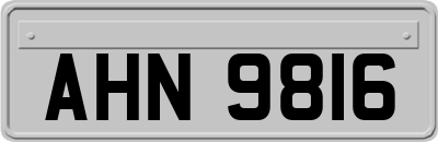 AHN9816