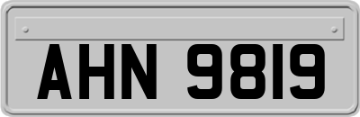 AHN9819