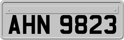 AHN9823