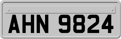 AHN9824