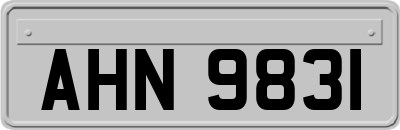AHN9831