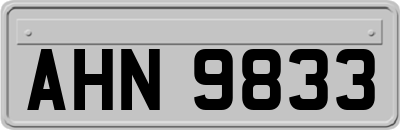 AHN9833