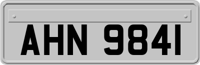 AHN9841