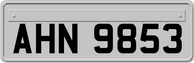 AHN9853