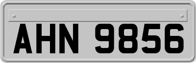 AHN9856