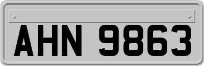 AHN9863