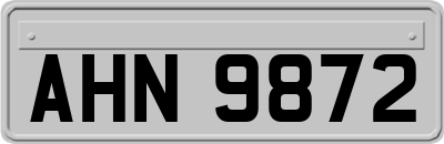 AHN9872