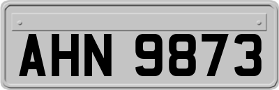 AHN9873