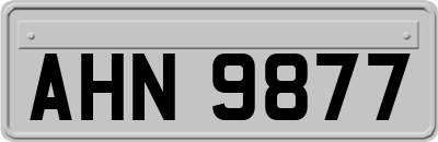 AHN9877