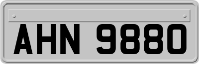 AHN9880