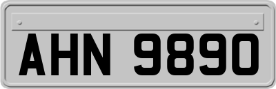AHN9890