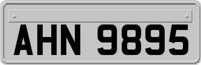 AHN9895