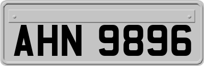AHN9896