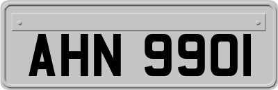 AHN9901